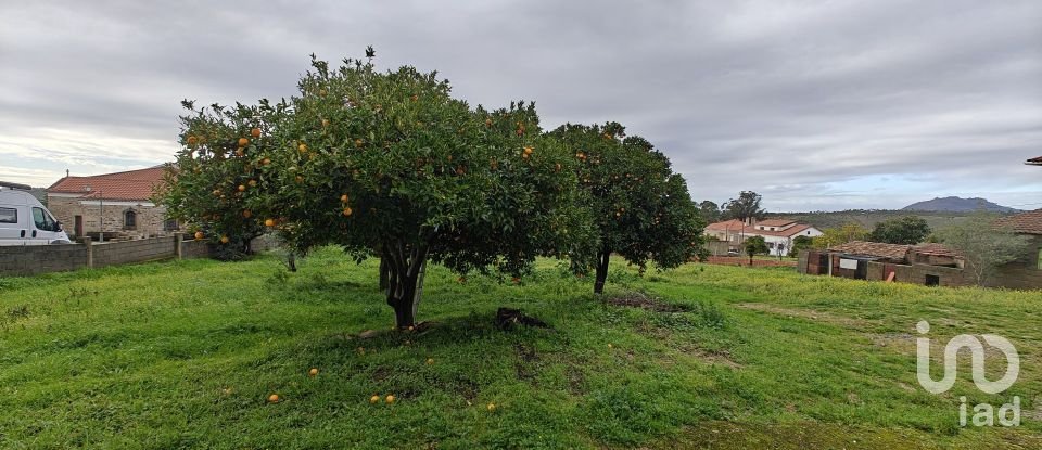 Maison T5 à Penha Garcia de 112 m²