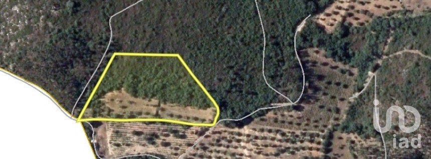 Terrain à Chãos de 8 880 m²