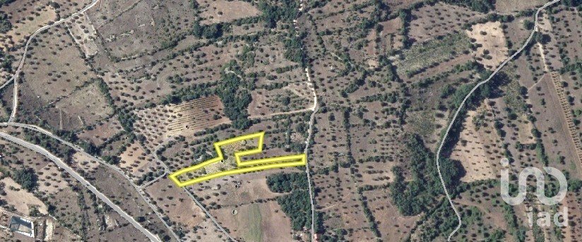 Terrain à Chãos de 4 560 m²