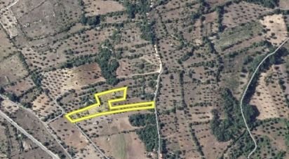 Land in Chãos of 4,560 m²