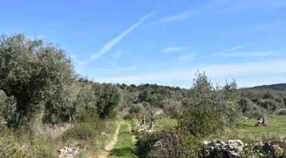 Terrain à Chãos de 4 560 m²