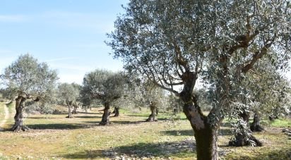 Terrain à Chãos de 4 560 m²