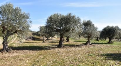 Terrain à Chãos de 4 560 m²