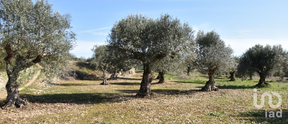 Terrain à Chãos de 4 560 m²