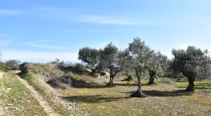 Terrain à Chãos de 4 560 m²