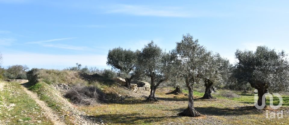Terrain à Chãos de 4 560 m²