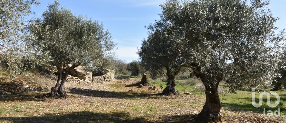 Terrain à Chãos de 4 560 m²