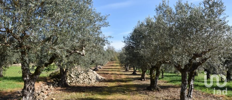 Terrain à Chãos de 4 560 m²