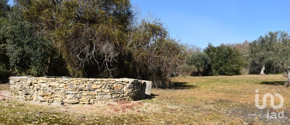 Terrain à Chãos de 4 560 m²