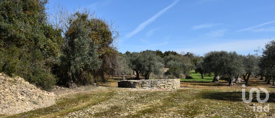 Terrain à Chãos de 4 560 m²