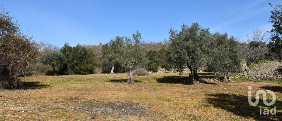 Terrain à Chãos de 4 560 m²