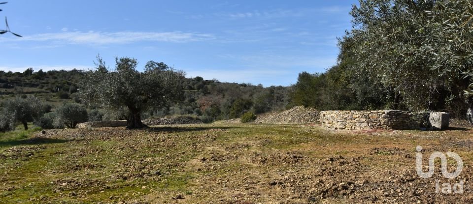 Terrain à Chãos de 4 560 m²