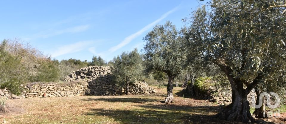 Terrain à Chãos de 4 560 m²