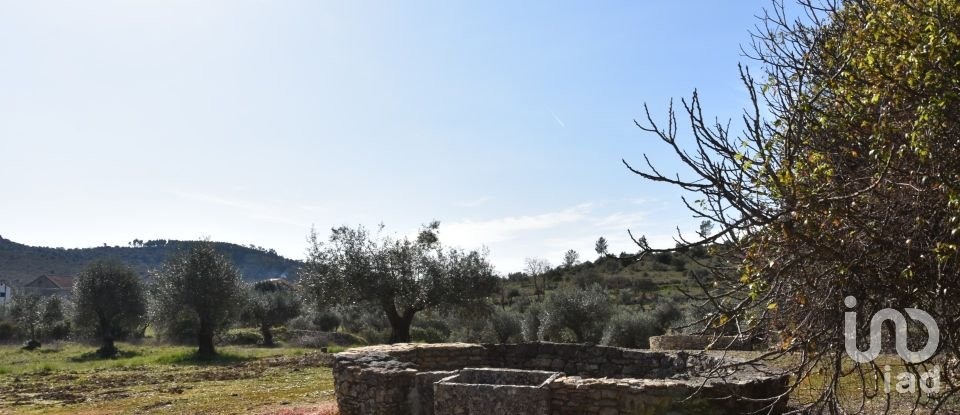 Terrain à Chãos de 4 560 m²