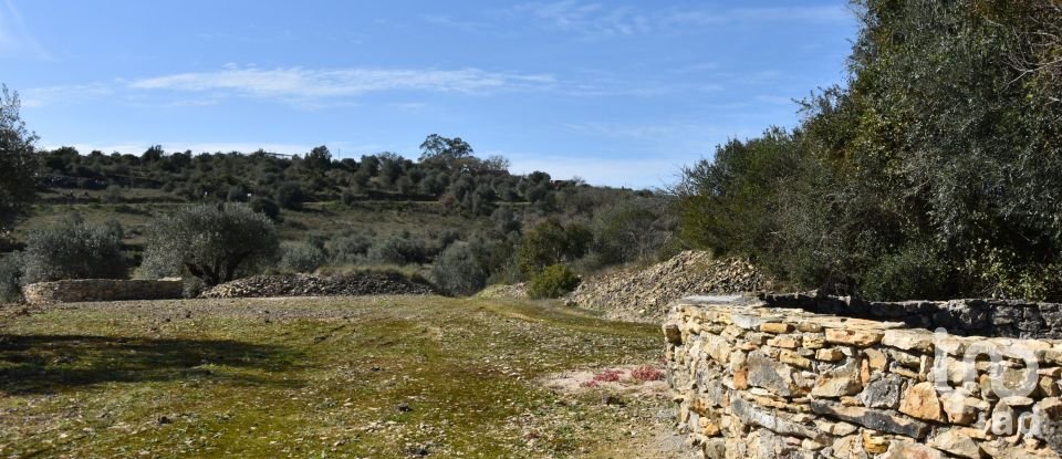 Terrain à Chãos de 4 560 m²