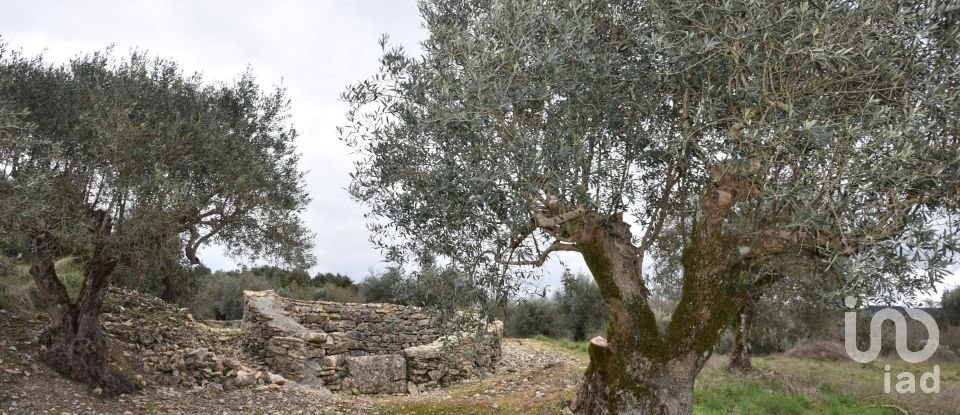 Terrain à Chãos de 4 560 m²