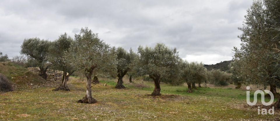 Terrain à Chãos de 4 560 m²