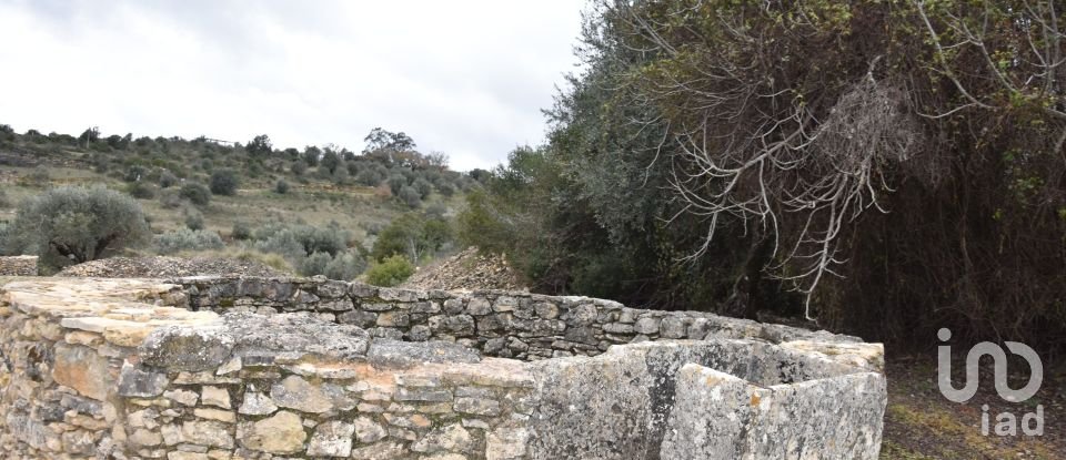 Terrain à Chãos de 4 560 m²