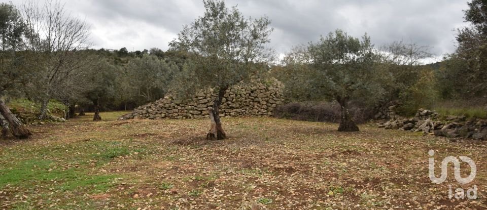 Terrain à Chãos de 4 560 m²