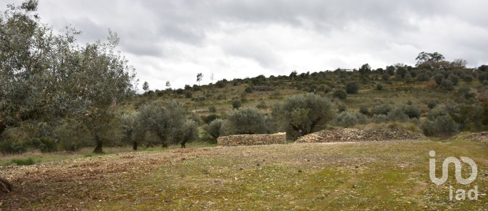 Terrain à Chãos de 4 560 m²