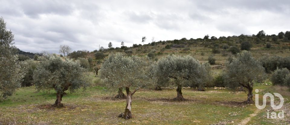 Terrain à Chãos de 4 560 m²