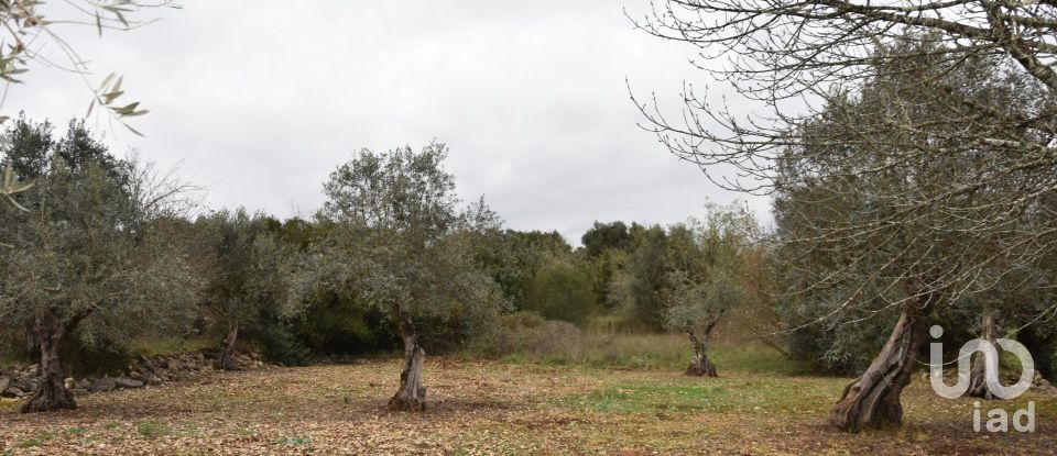 Terrain à Chãos de 4 560 m²