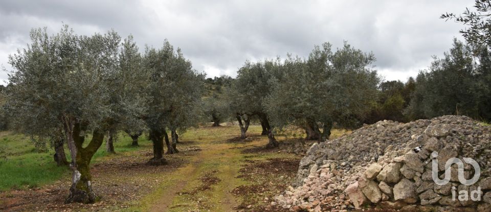 Terrain à Chãos de 4 560 m²