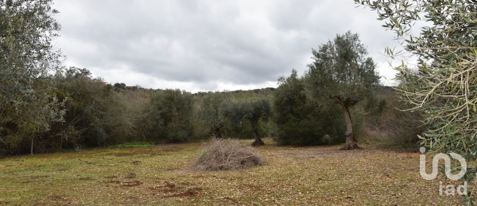 Terrain à Chãos de 4 560 m²