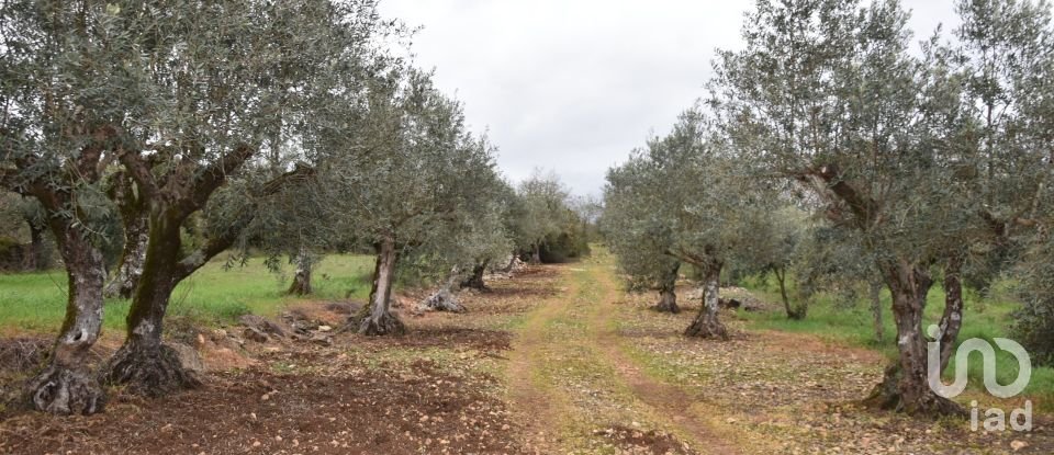 Terrain à Chãos de 4 560 m²