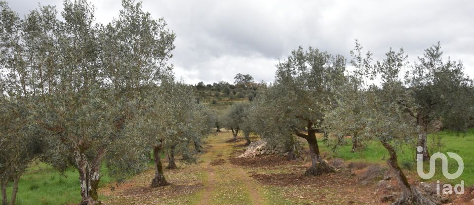 Terrain à Chãos de 4 560 m²