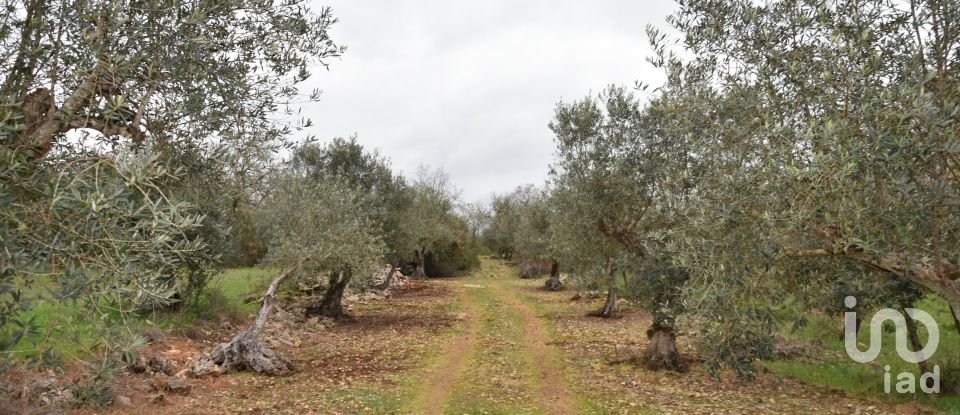 Terrain à Chãos de 4 560 m²