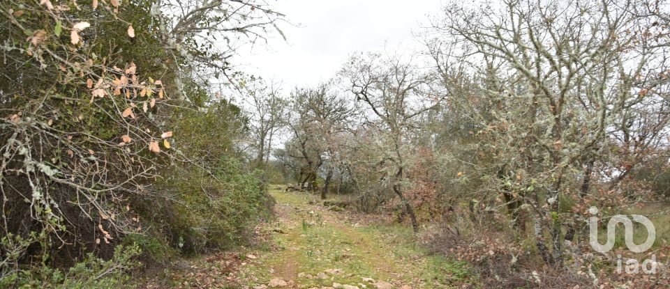 Terrain à Chãos de 4 560 m²