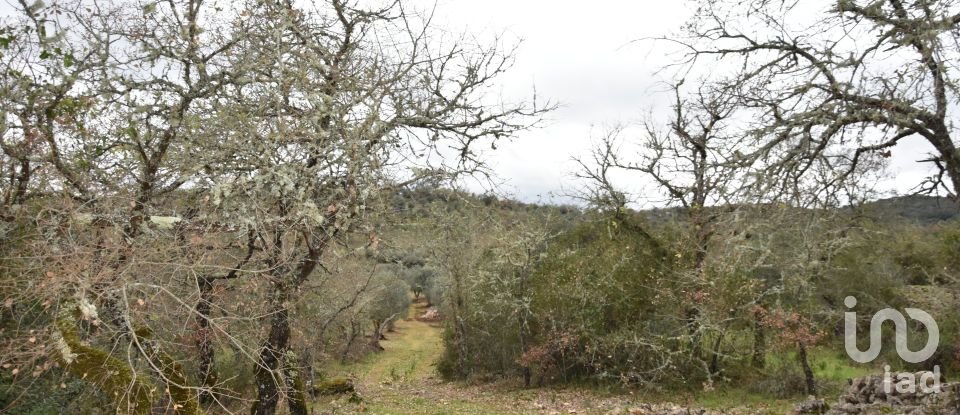 Terrain à Chãos de 4 560 m²