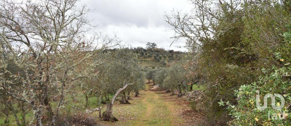 Terrain à Chãos de 4 560 m²