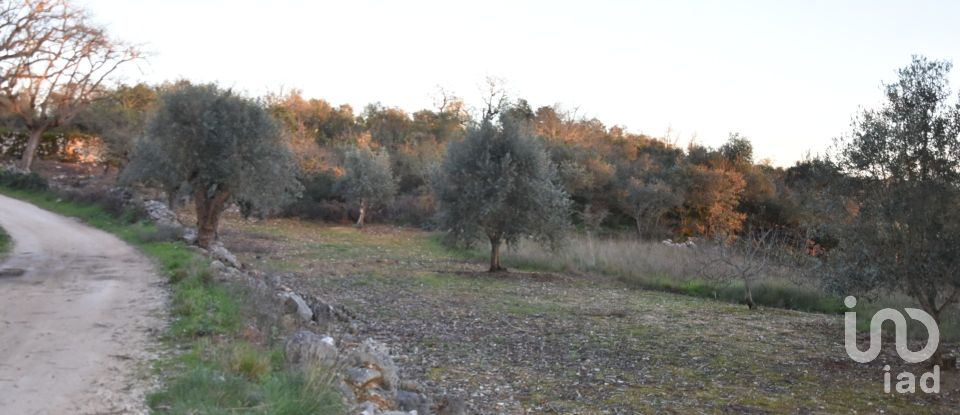 Terrain à Chãos de 2 120 m²