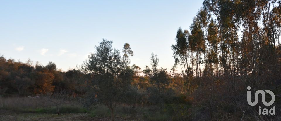 Terrain à Chãos de 2 120 m²