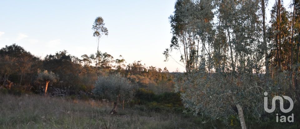 Terrain à Chãos de 2 120 m²