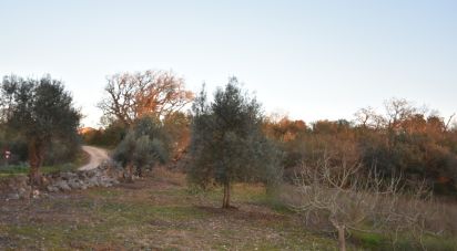 Terrain à Chãos de 2 120 m²