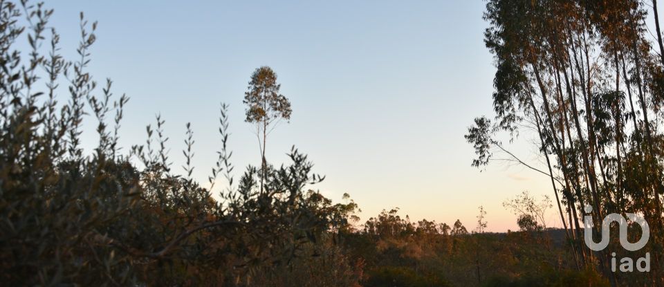 Terrain à Chãos de 2 120 m²
