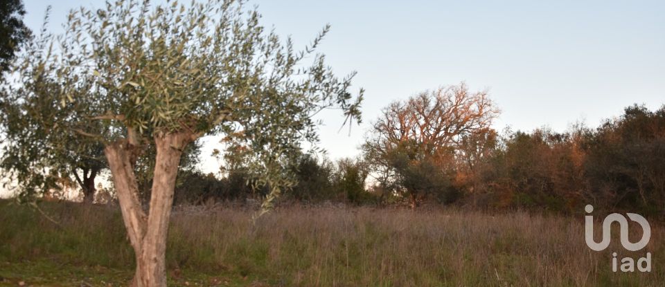 Terrain à Chãos de 2 120 m²