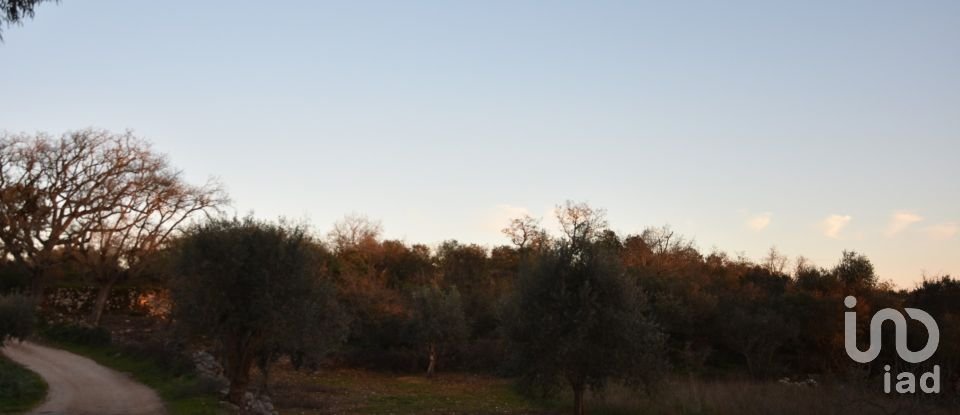 Terrain à Chãos de 2 120 m²