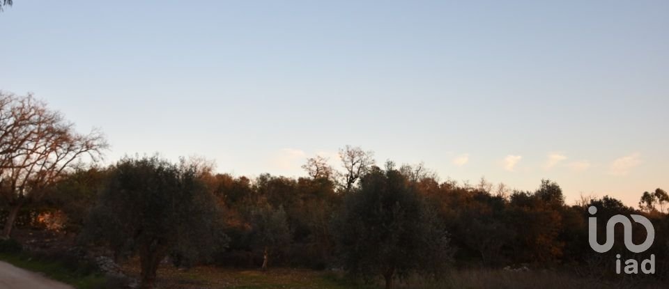 Terrain à Chãos de 2 120 m²