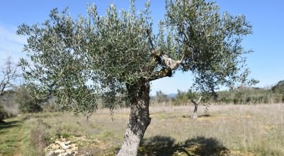 Terrain à Chãos de 2 741 m²