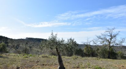 Terrain à Chãos de 2 741 m²