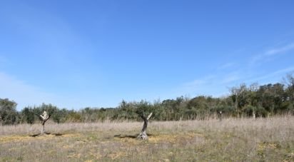Terrain à Chãos de 2 741 m²