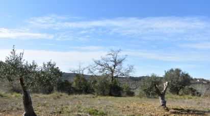 Terrain à Chãos de 2 741 m²