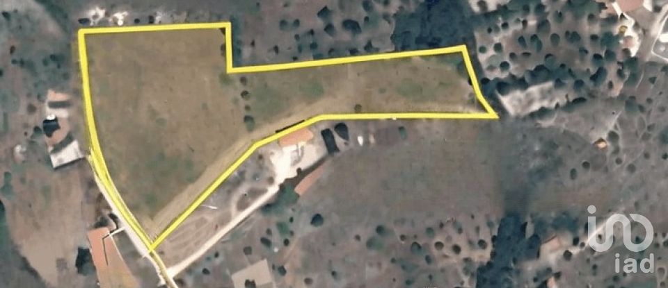 Terreno em Tomar (São João Baptista) e Santa Maria dos Olivais de 13 080 m²