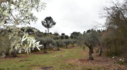 Terrain à Chãos de 8 880 m²