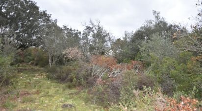 Terrain à Chãos de 8 880 m²