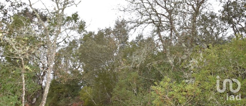 Terrain à Chãos de 8 880 m²